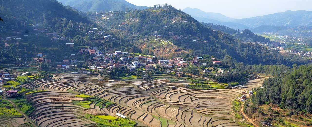 Kathmandu Valley, Rice paddies