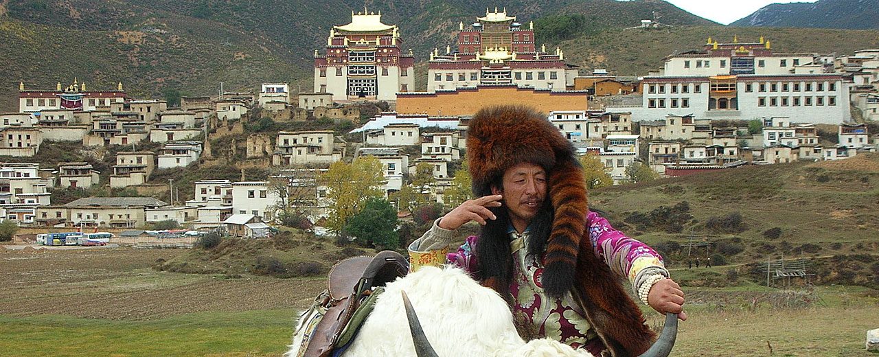Yunnan_Shangri-la-Yak